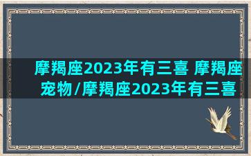 摩羯座2023年有三喜 摩羯座宠物/摩羯座2023年有三喜 摩羯座宠物-我的网站